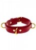 D-Ring Collar Deluxe Red
